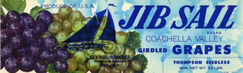 Jib Sail